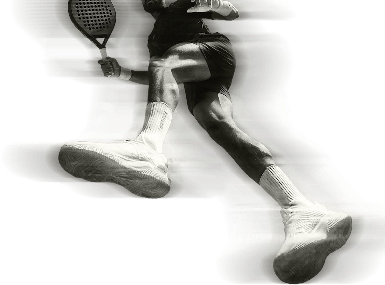 Courtside Hero Image